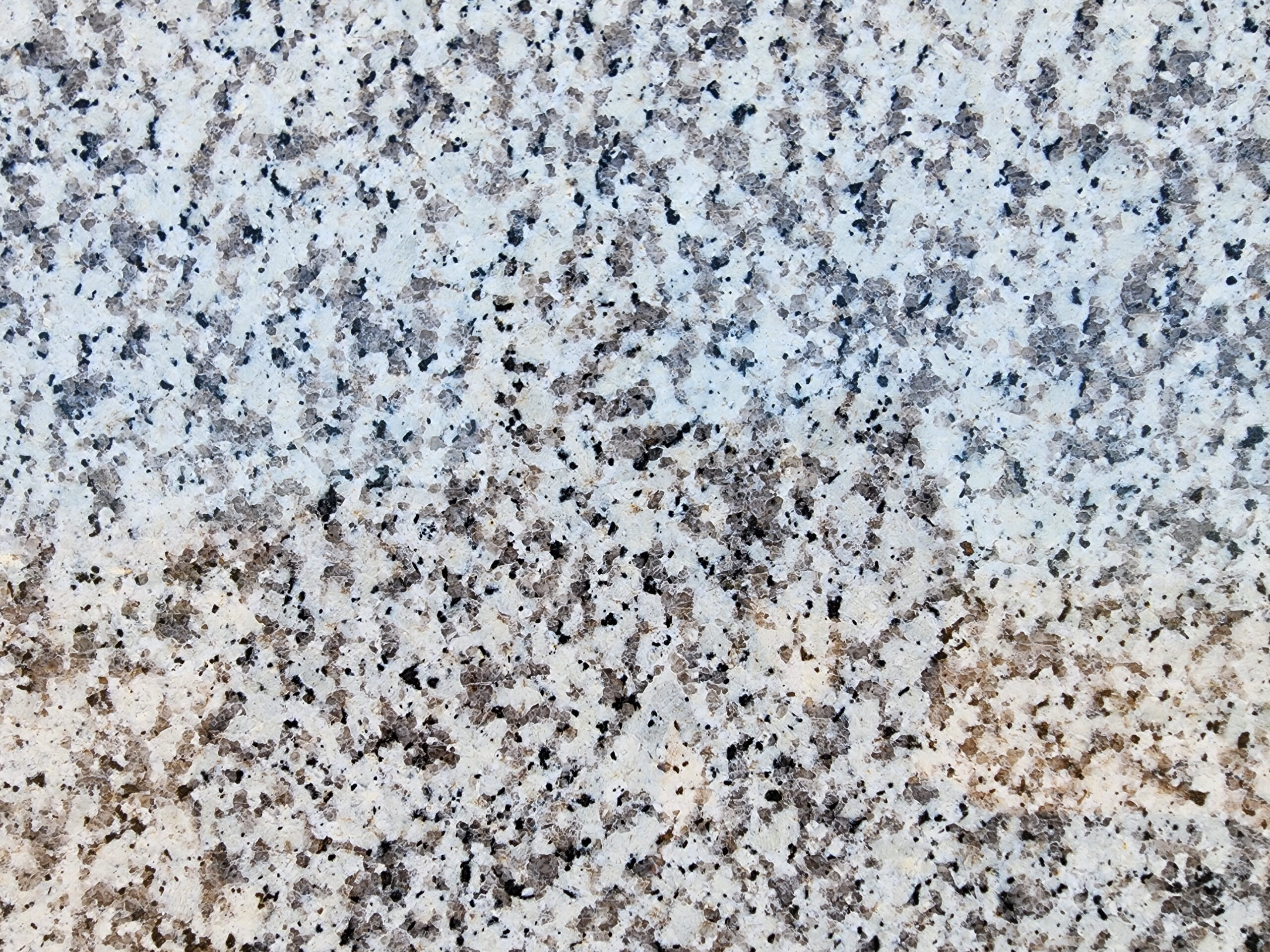 Crema Atlantico - Image 2