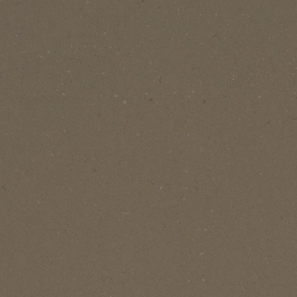 Fossil Brown